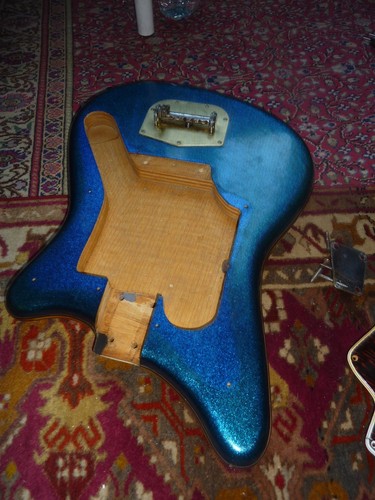 Eko 500 1960 pickups - 1960's,