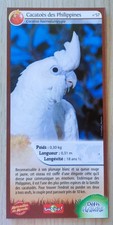 CARTE MERVEILLES DU MONDE -