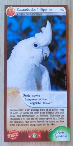 Carte merveilles monde - du,