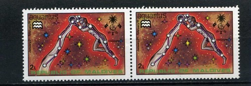 Aquarius maldives - ,