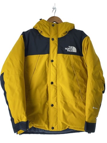 The north face mountain puffer - the,