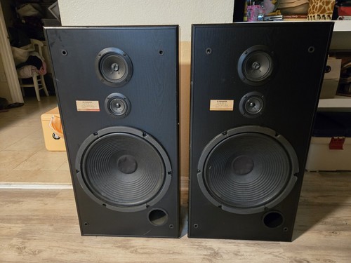 Pair vintage pioneer - vintage, cs-r