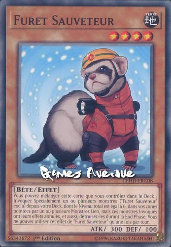 Furet sauveteur - !,