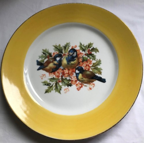 Grande assiette limoges 3 - limoges, -3
