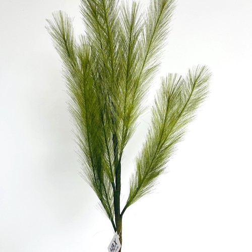 Soie tige herbe vert - vert, panicle
