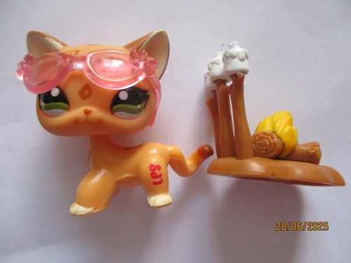 Petshop chat europeen 1120 - petshop,