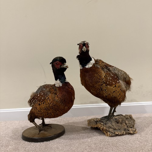 1940 pair of - 1940’s.,
