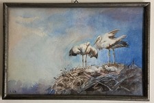Le nid, les cigognes et les cigogneaux. aquarelle signée A.P.G Alsace Strasbourg