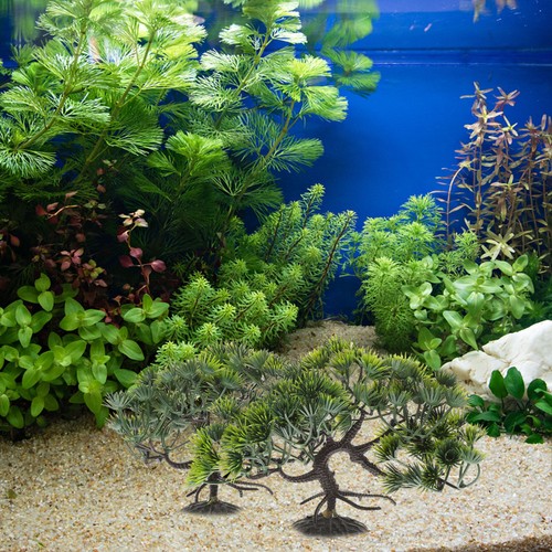 Pcs décoration aquarium - ,