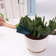  3pcs outils de jardinage ensemble pelle de jardinage petit râteau de jardin et