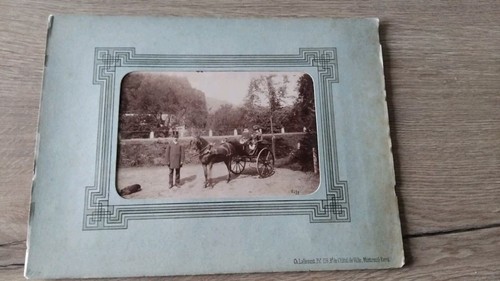 Ancienne photo attelage - photo,