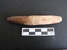 Dent de Spinosaure 9 cm