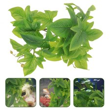 Décoration Terrarium