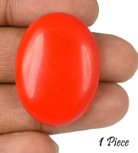 Corail rouge ct pour - corail,
