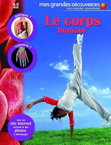 Corps humain avec - corps,