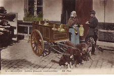 CPA -BELGIQUE-   Attelage de chiens - Laitière flamande - contravention.