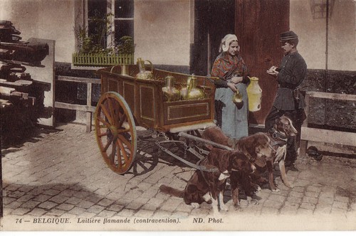 Cpa belgique attelage de - ,