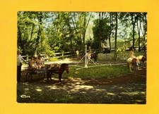 BRUNEMONT (59) ENFANTS au MANEGE à PONEYS animé du RESTAURANT L'ESCALE vers 1970