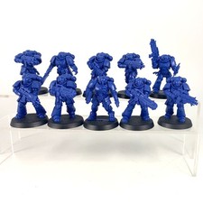 x10 Primaris intercessors