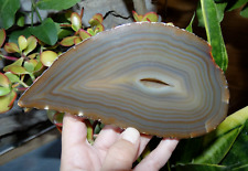 Tranche Agate Naturelle 18x9cm Minéraux pierre lithothérapie collection soin