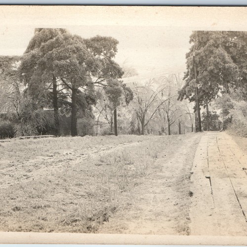 C1910s ice storm - c1910s, rppc
