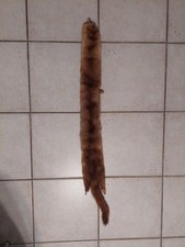 Echarpe Vison Ancienne