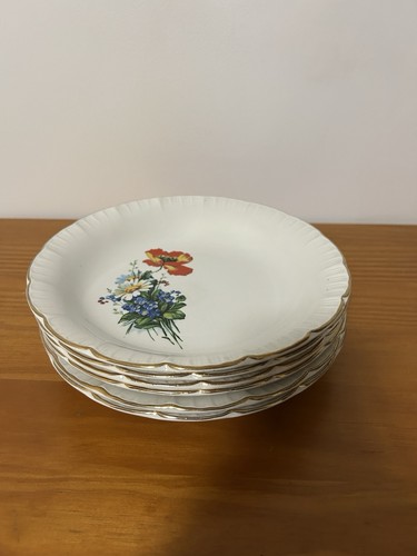 Lot assiettes creuses - lot, 6