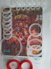 FLIPPER-BALLY- VIKING-