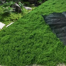 Tapis De Mousse Pour La