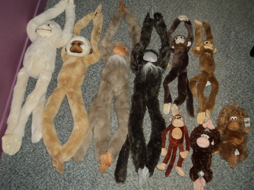 Aurora superbes peluches - 9,