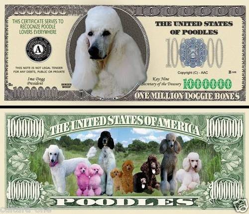 Caniche billet 1 million - caniche,