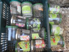 lot 14 bocaux vide pour