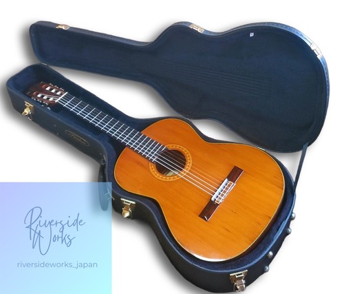 Guitare classique ibanez 2843 - classique,