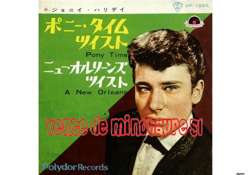 Johnny hallyday repro pony - johnny,