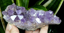 Druse Amethyste 10.5x5cm Brésil minéral collection pierre améthyste reiki soin
