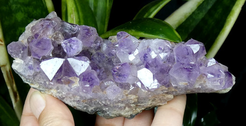 Druse amethyste 5x5cm - druse, 10.5x5cm