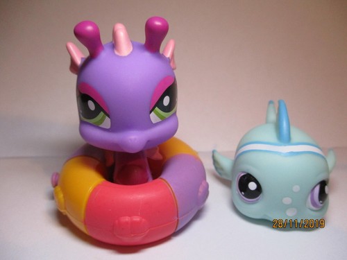 Petshop duo hippocampe - petshop, :