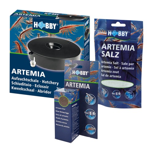 Set artemia élevage bol - Élevage, :