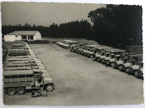 Photo ancienne vintage - photo,