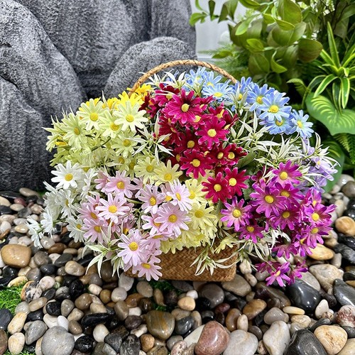 Chrysanthème sauvage soie - en,