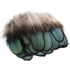 50pcs Natural Feathers, Plumes