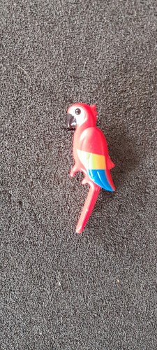 Animal oiseau perroquet - oiseau,