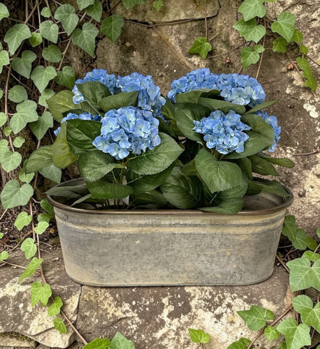 Coffre fleurs fer - fleurs, forgé