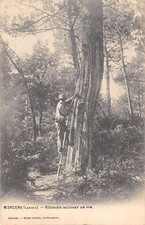 CPA 40 MORCENX RESINIER