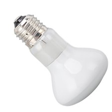 (25W) Lampe Chauffante Pour
