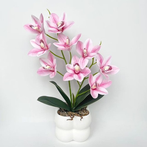 Orchid cymbidium rose - orchid��e,