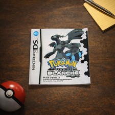 Notice Nintendo DS –