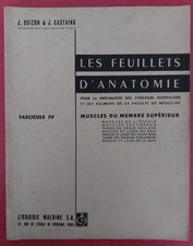 58 Feuillets d' anatomie