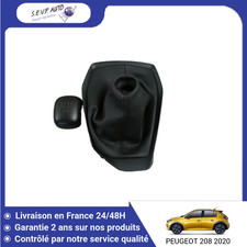 🇫🇷 POMMEAU LEVIER