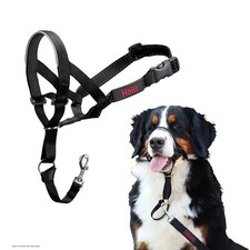 Licol, Anti-Traction Dressage